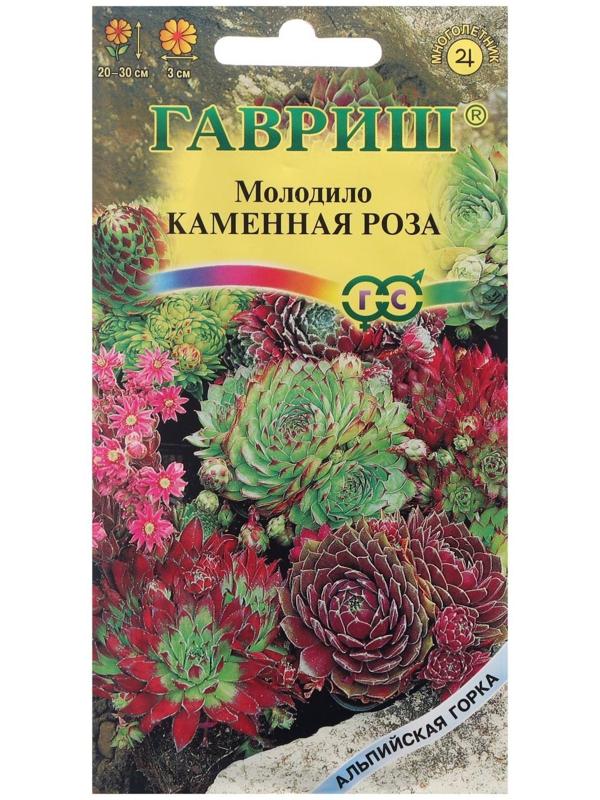 Семена цветов Молодило 