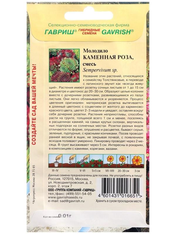 Семена цветов Молодило 