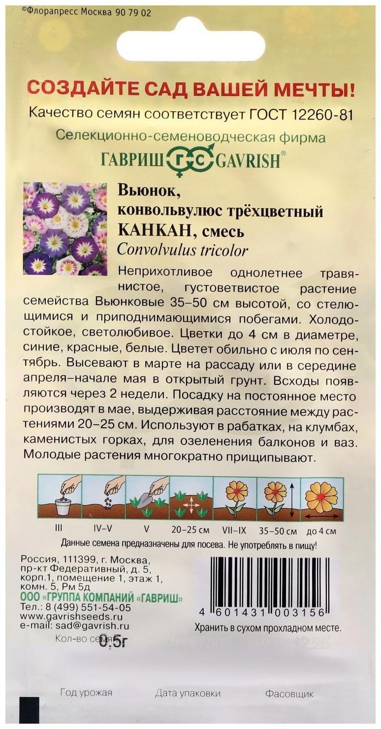 Семена цветов Вьюнок 