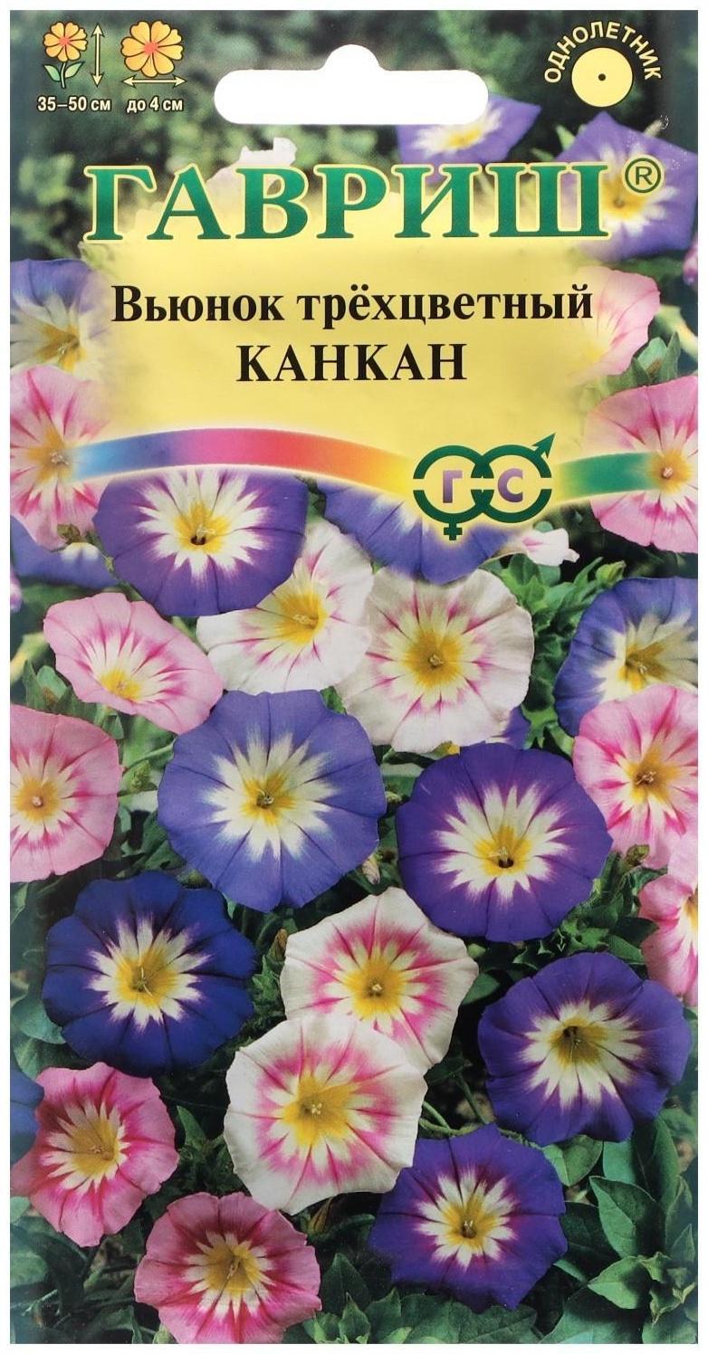 Семена цветов Вьюнок 