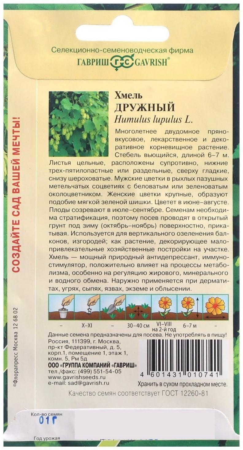 Семена цветов Хмель 