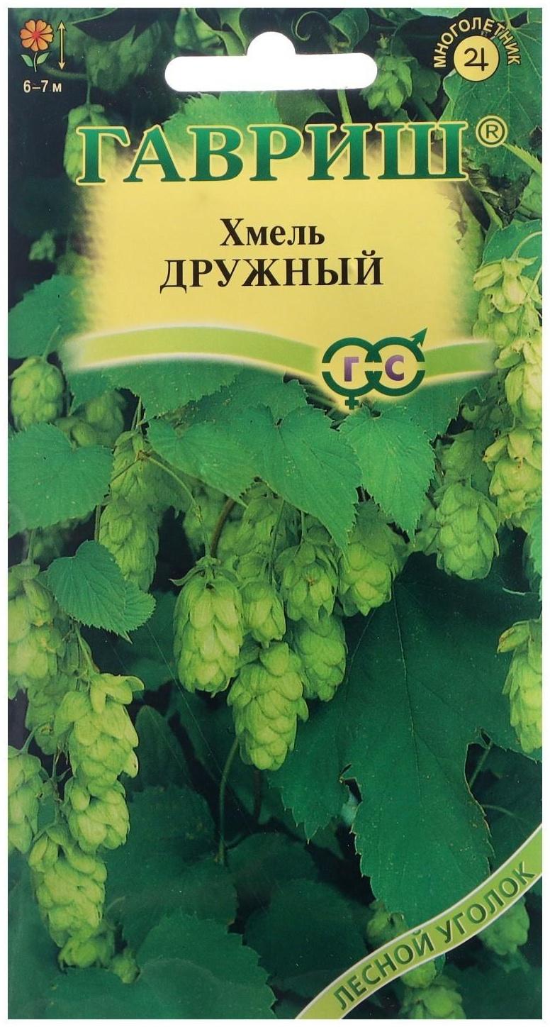 Семена цветов Хмель 