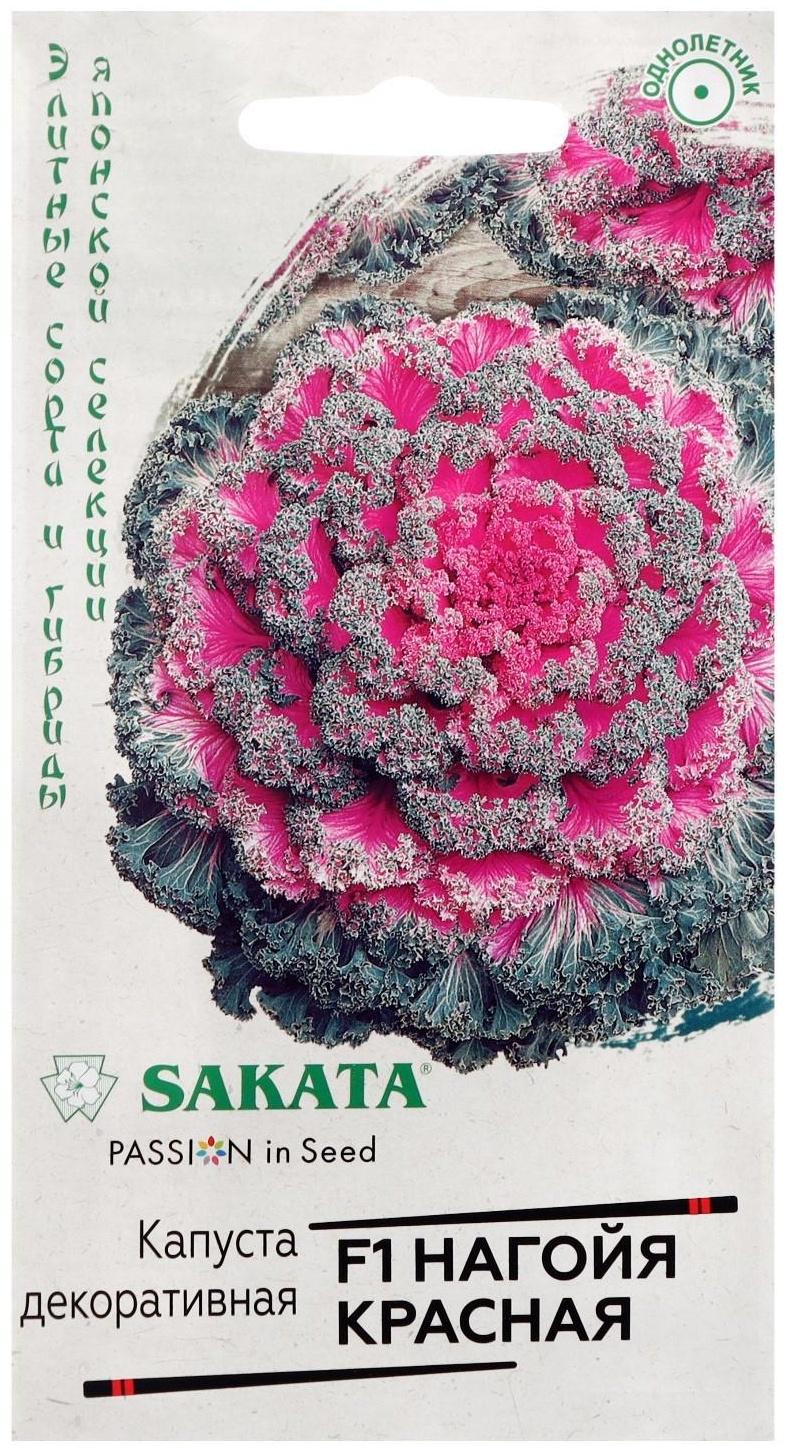 Семена цветов Капуста декоративная 