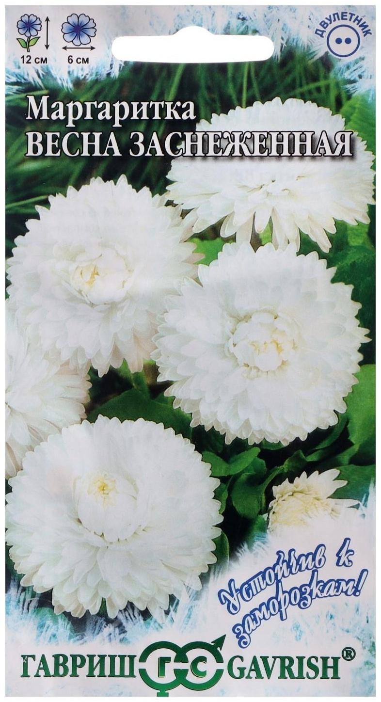 Семена цветов Маргаритка 