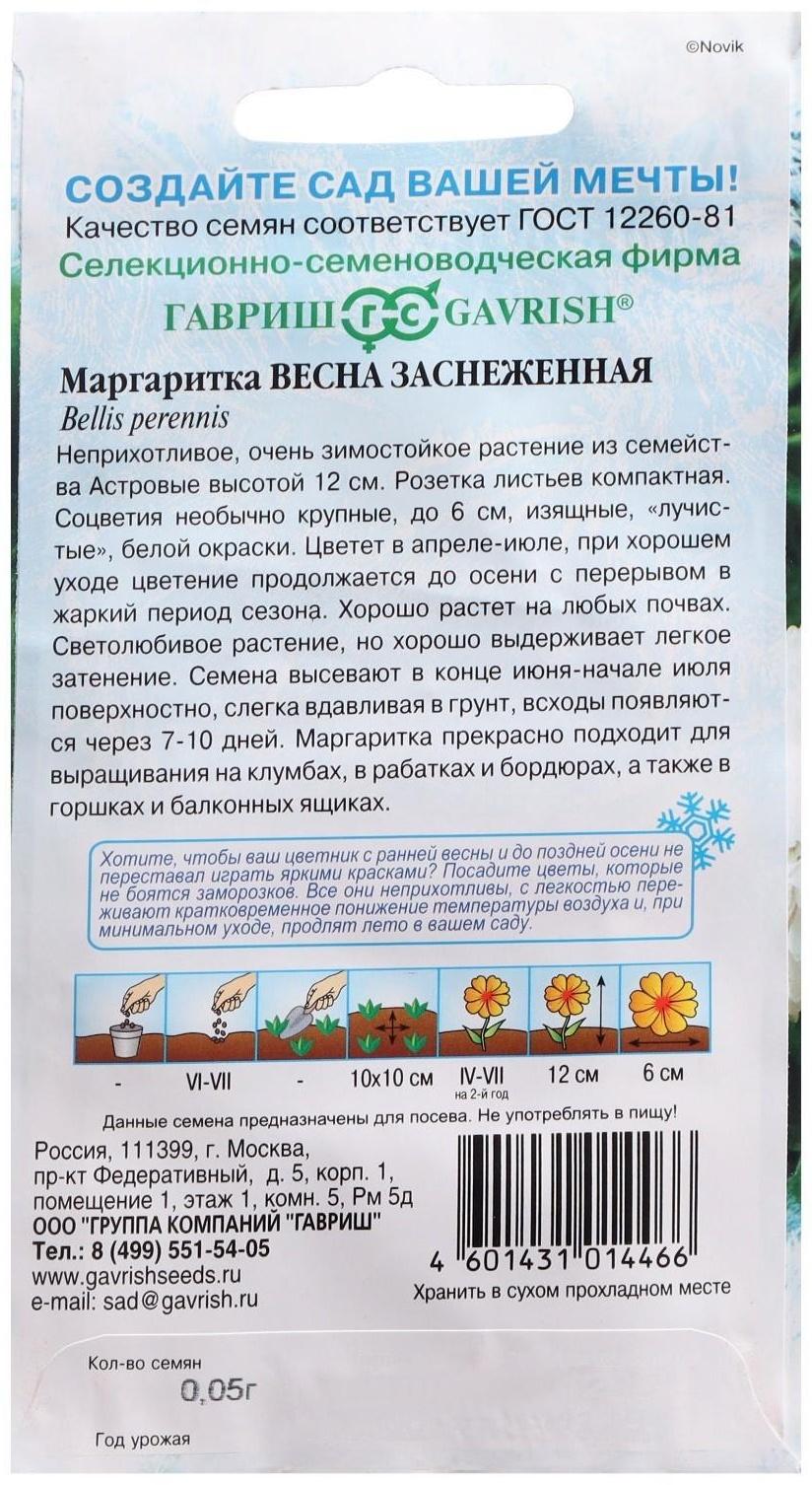 Семена цветов Маргаритка 