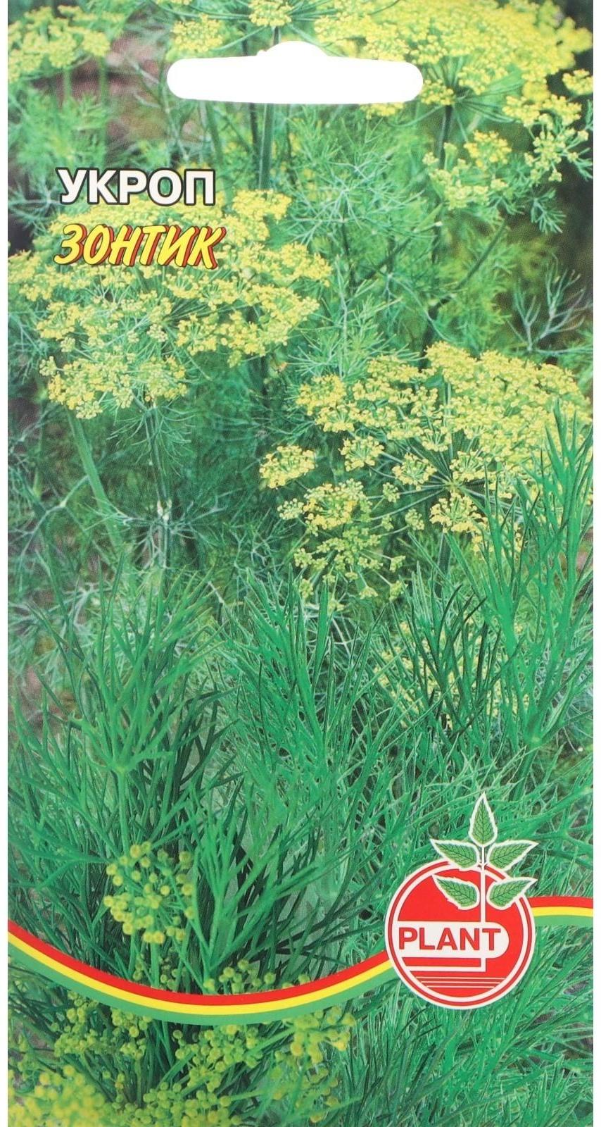 Семена Укроп 