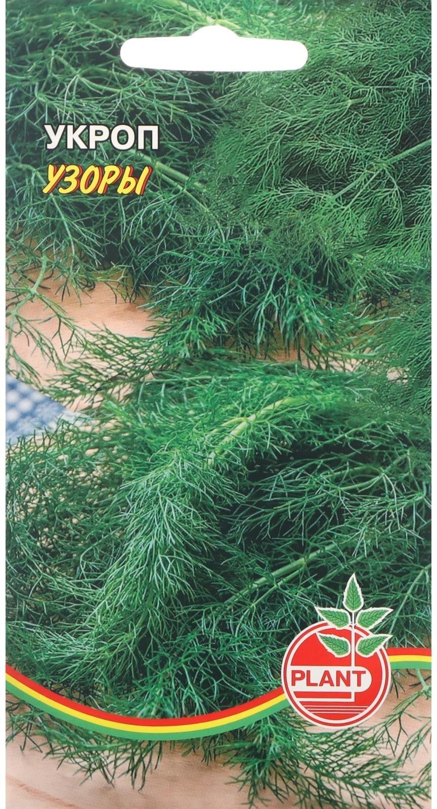 Семена Укроп 