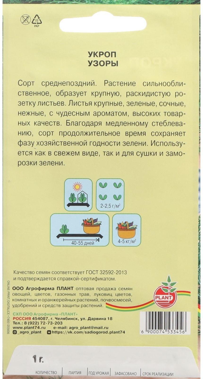 Семена Укроп 