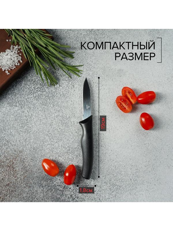 Нож Доляна «Грайм» овощной, лезвие 7,5 см, цвет чёрный