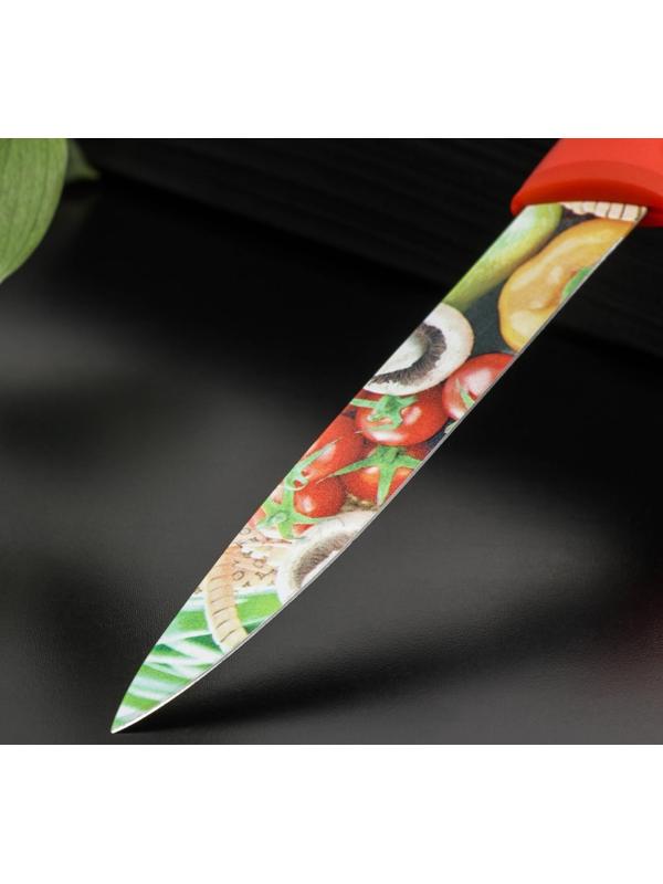 Нож с антиналипающим покрытием Доляна «Урожай» универсальный, лезвие 12,5 см