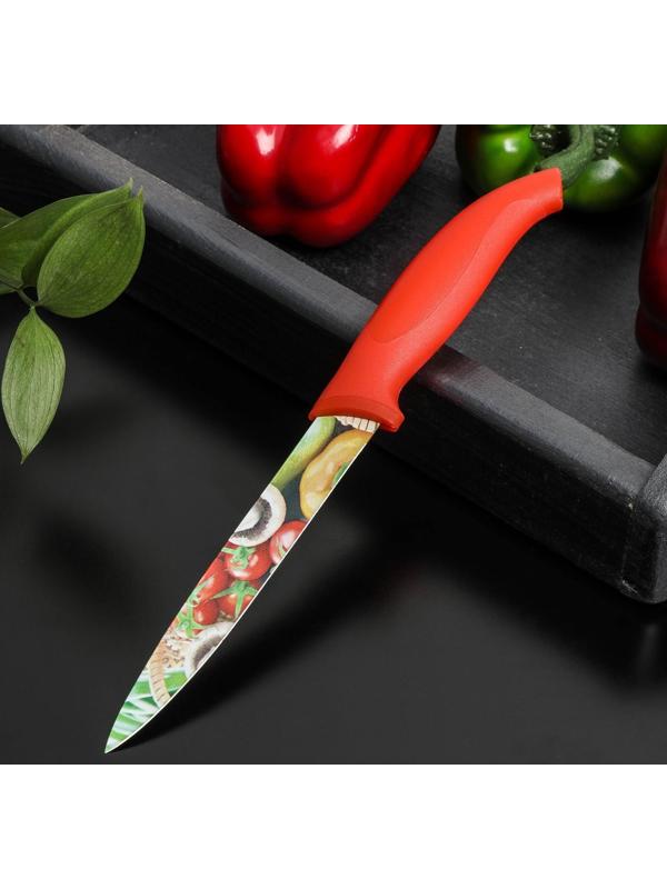 Нож с антиналипающим покрытием Доляна «Урожай» универсальный, лезвие 12,5 см