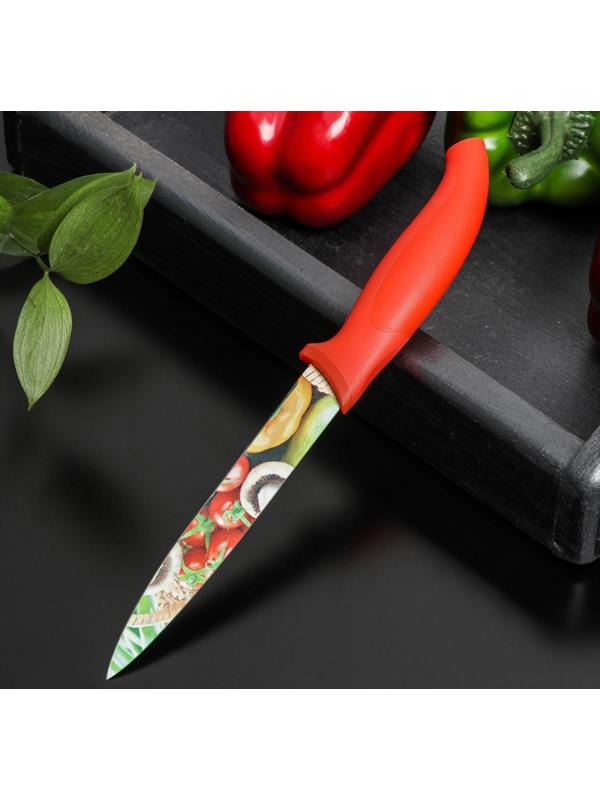 Нож с антиналипающим покрытием Доляна «Урожай» универсальный, лезвие 12,5 см