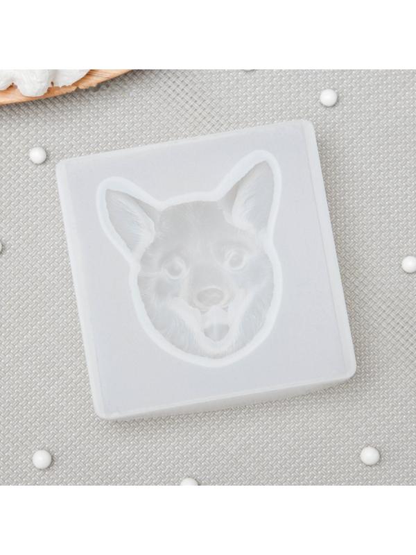 Молд «Мордашка», 8×8×2,3 см, ячейка 5,5×6 см