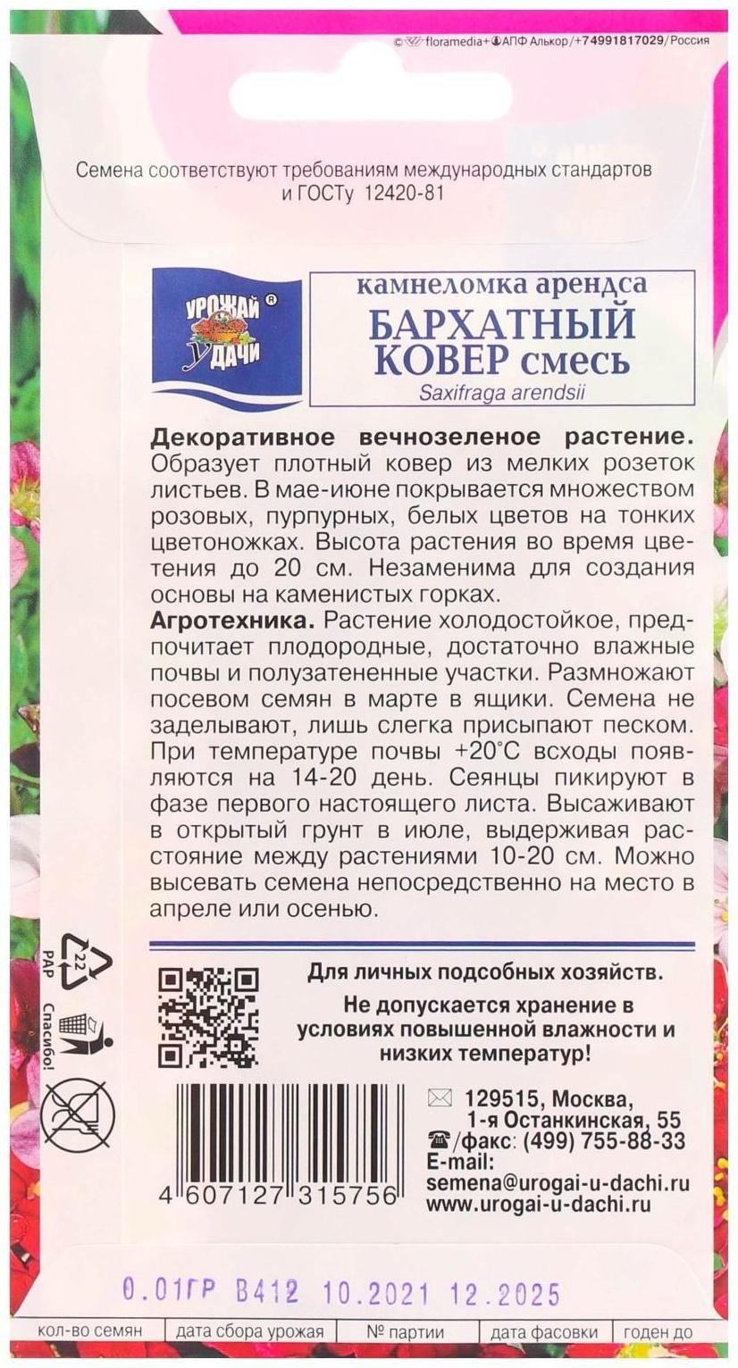 Семена цветов Камнеломка 