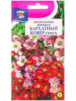 Семена цветов Камнеломка 