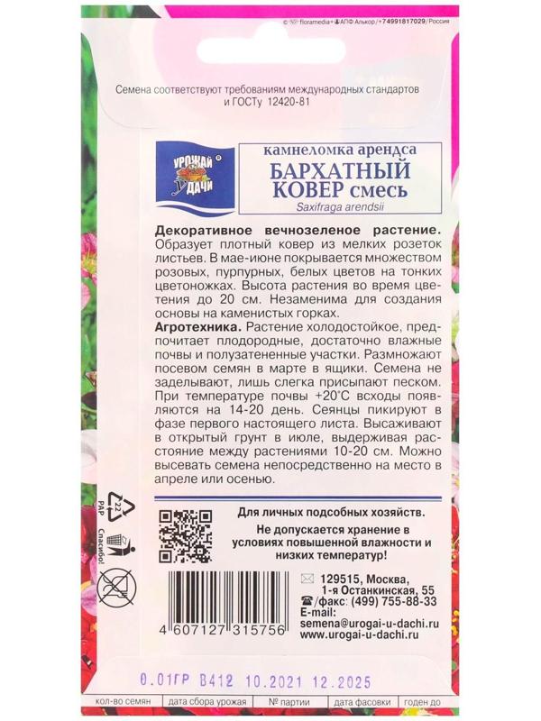 Семена цветов Камнеломка 