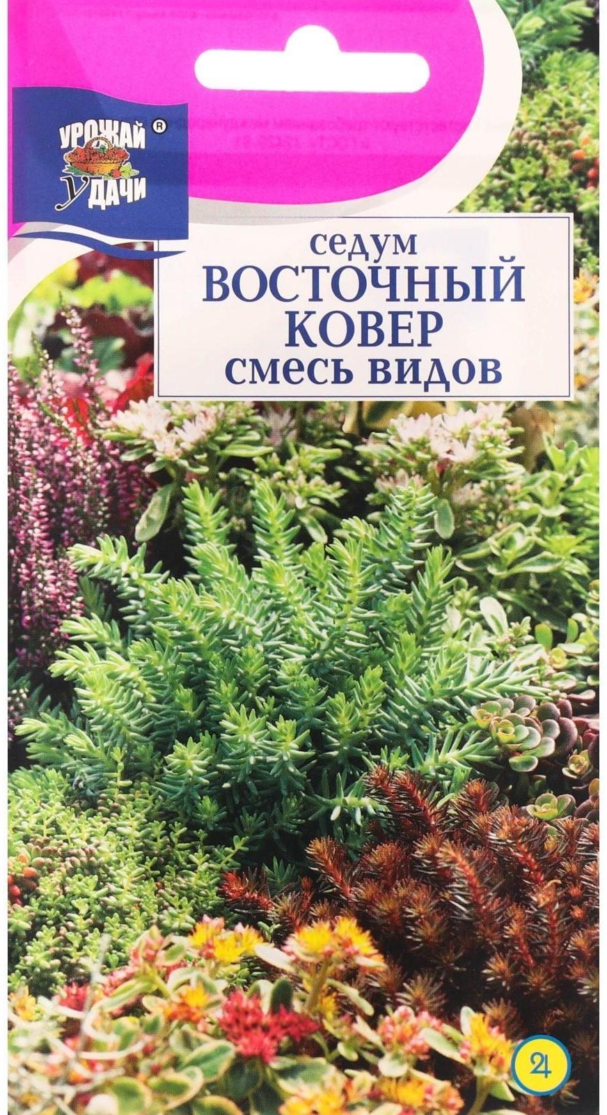 Семена цветов Седум 