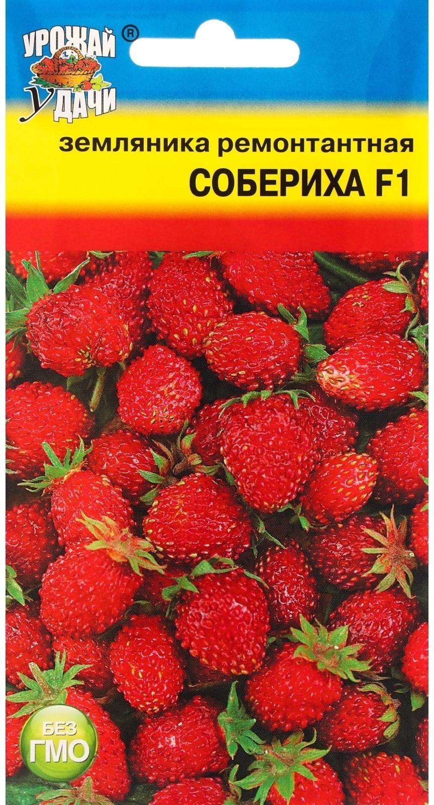 Семена Земляника 