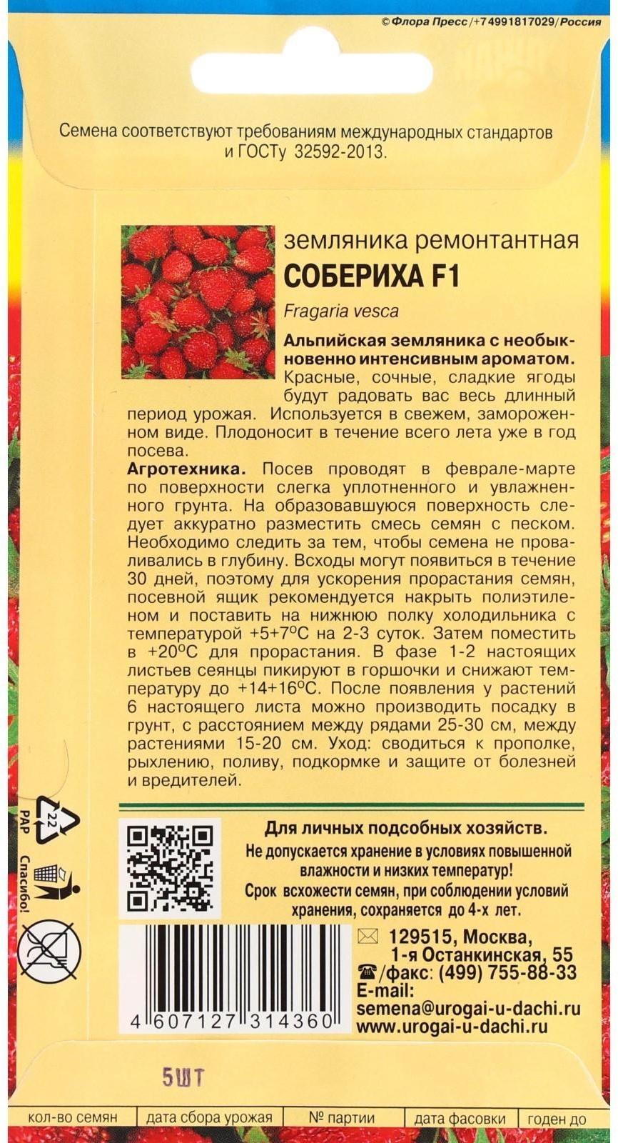 Семена Земляника 