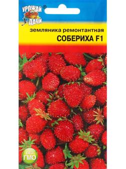 Семена Земляника 