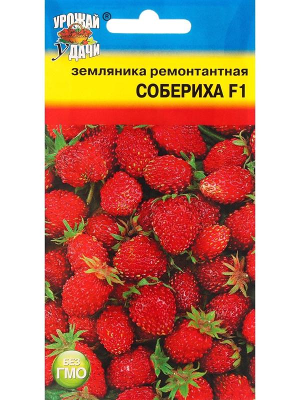 Семена Земляника 