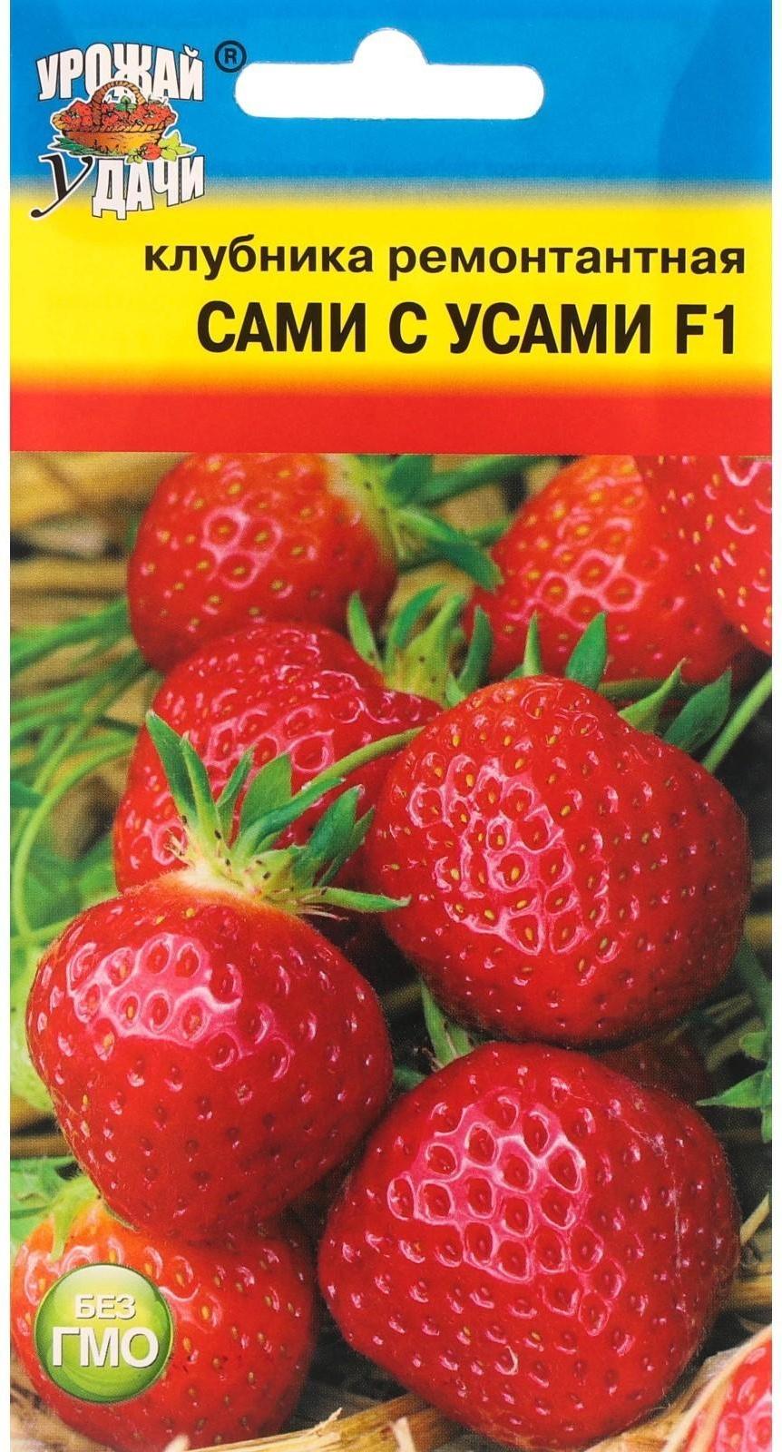 Семена Клубника ремонтантная 