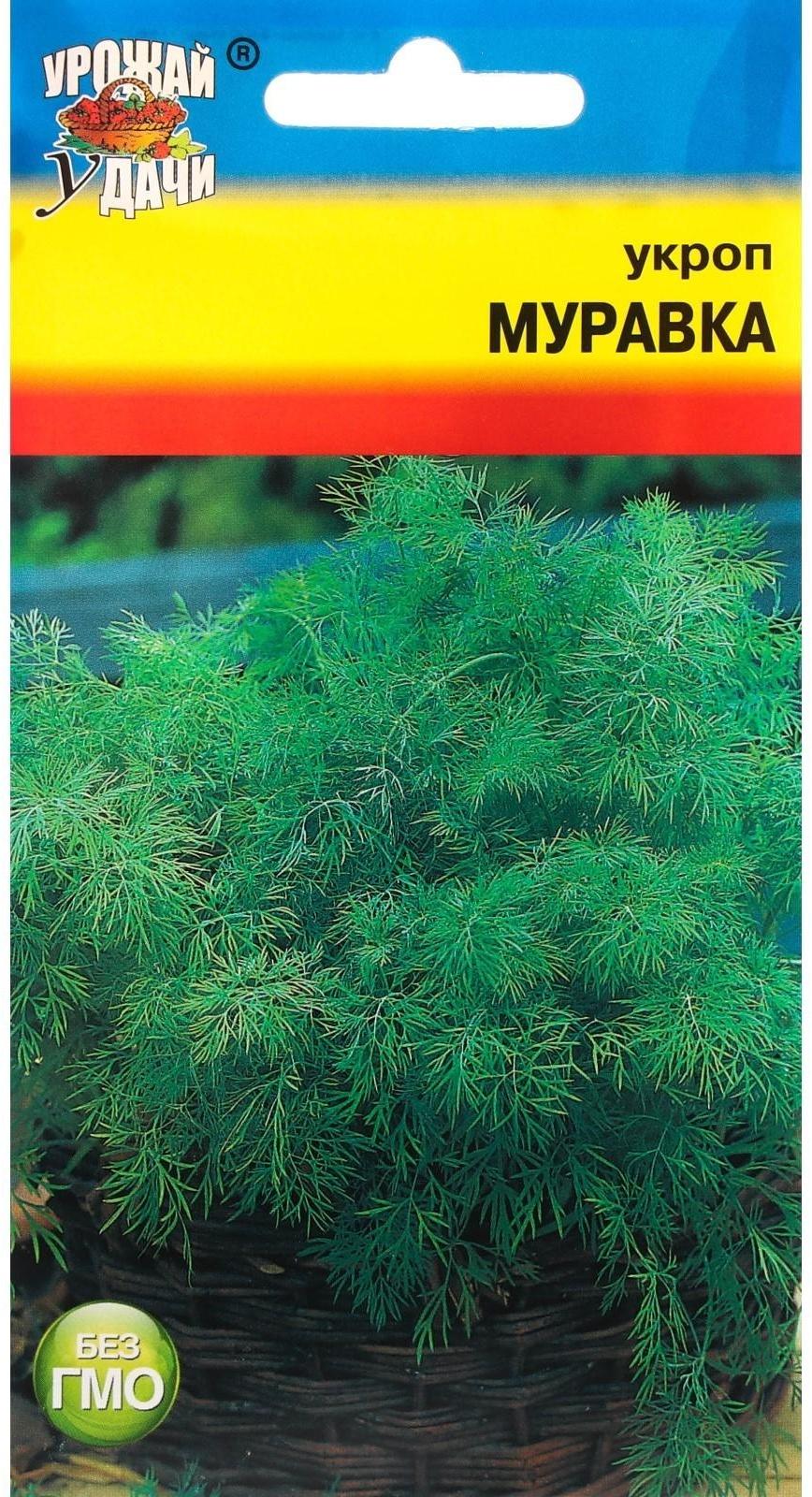 Семена Укроп 