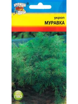 Семена Укроп 