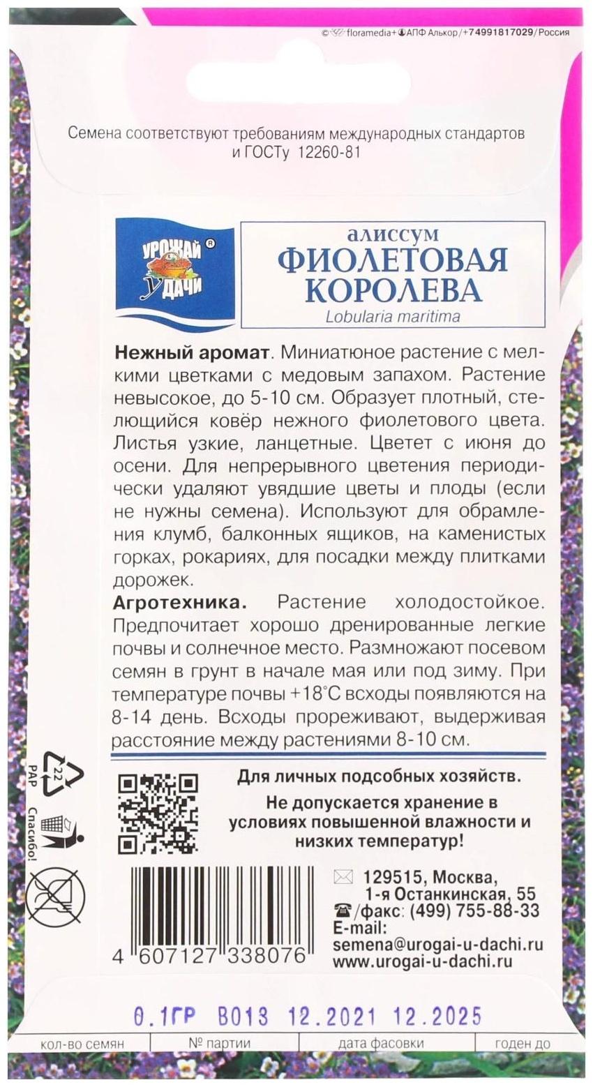 Семена цветов Алиссум 