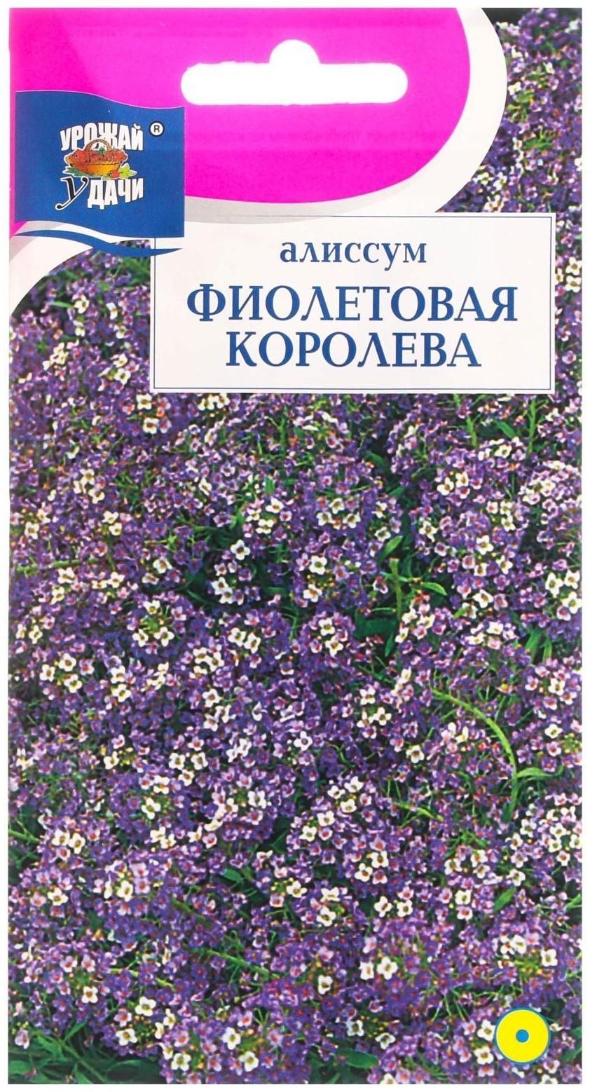 Семена цветов Алиссум 