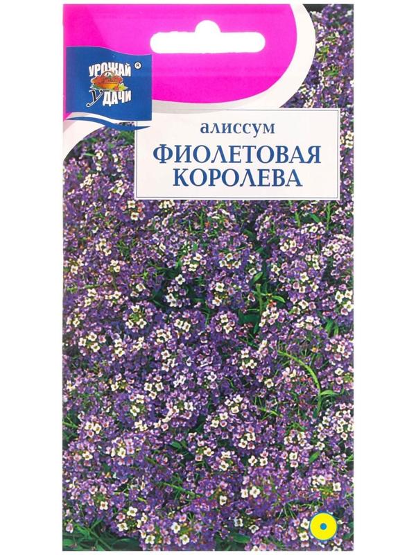 Семена цветов Алиссум 