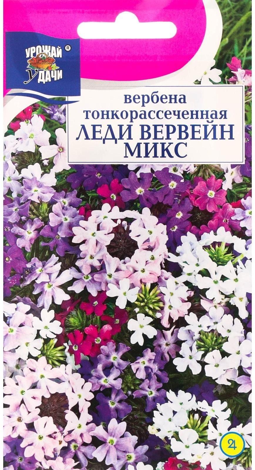 Семена цветов Вербена 