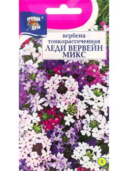 Семена цветов Вербена 