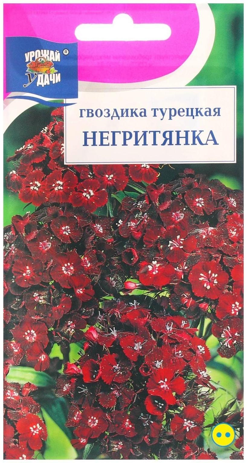 Семена цветов Гвоздика 