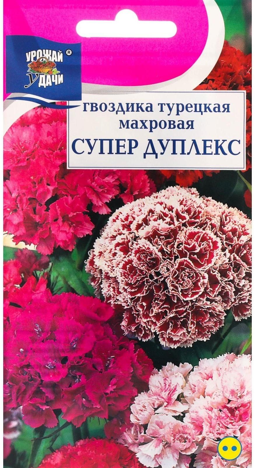 Семена цветов Гвоздика 