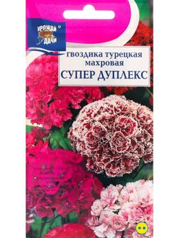 Семена цветов Гвоздика 