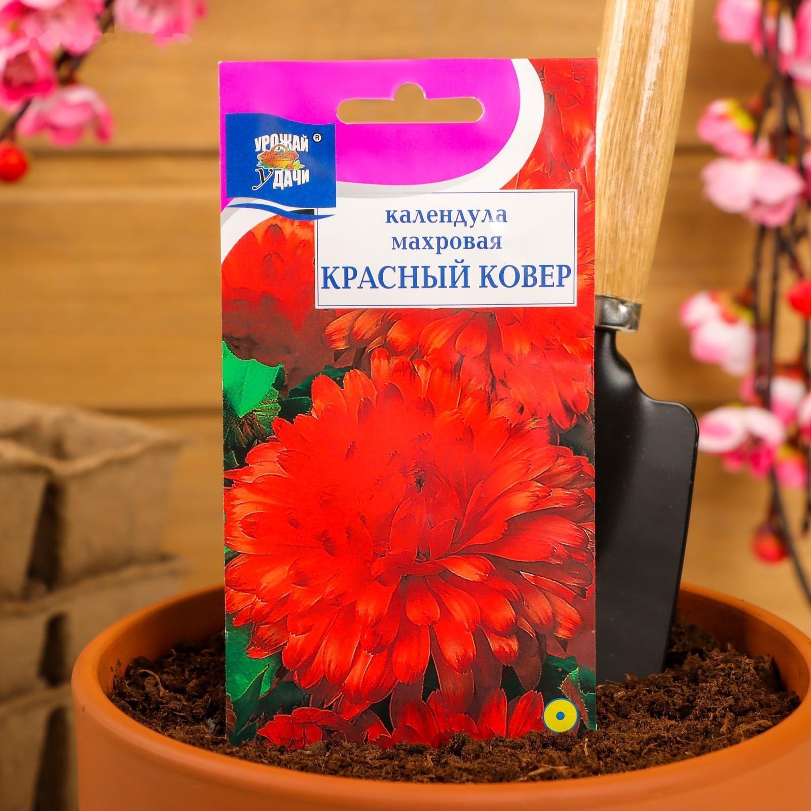 Семена цветов Календула махровая 