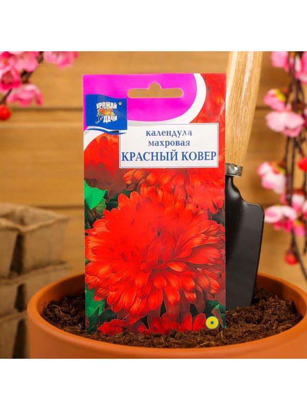 Семена цветов Календула махровая 