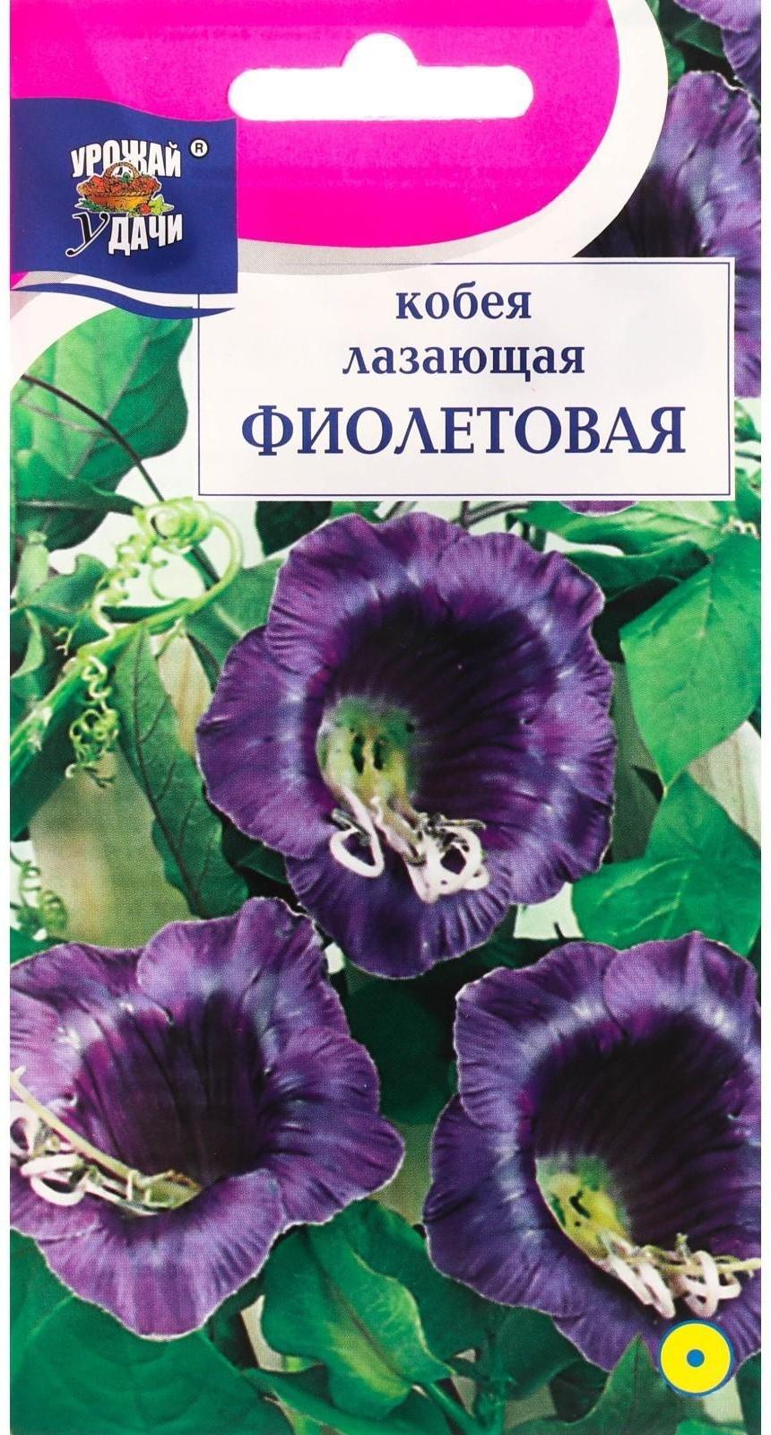 Семена цветов Кобея 