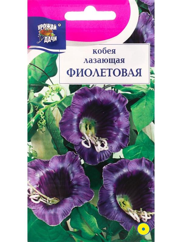 Семена цветов Кобея 