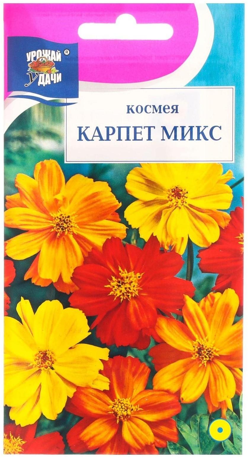 Семена цветов Космея 