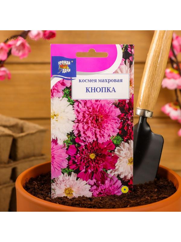 Семена цветов Космея махровая 