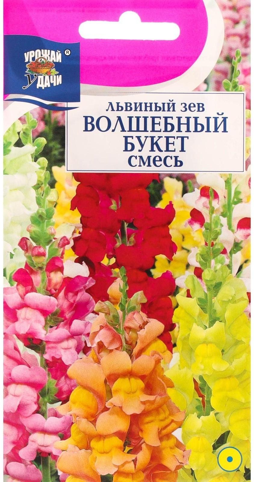 Семена цветов Львиный зев 