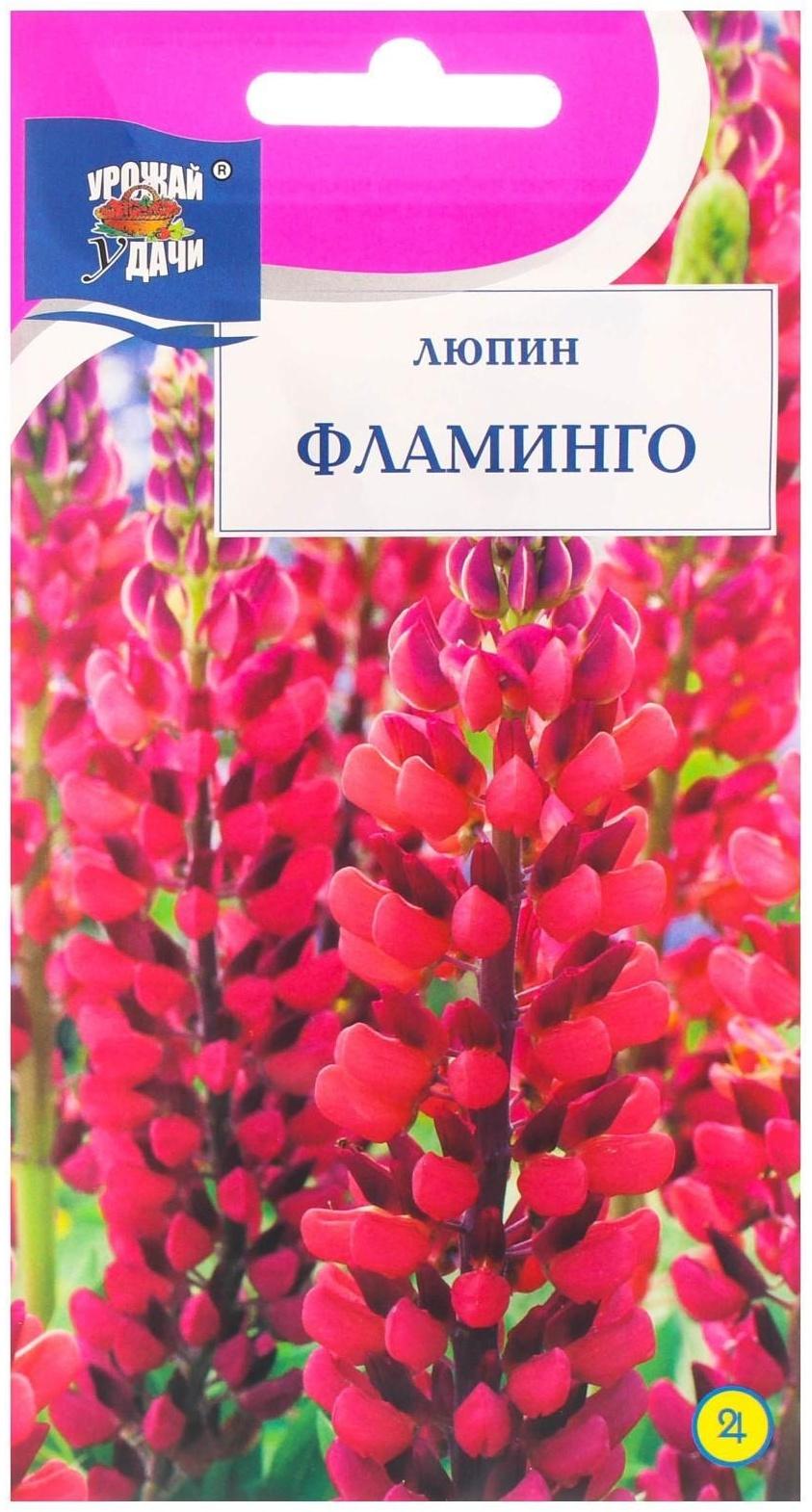 Семена цветов Люпин 