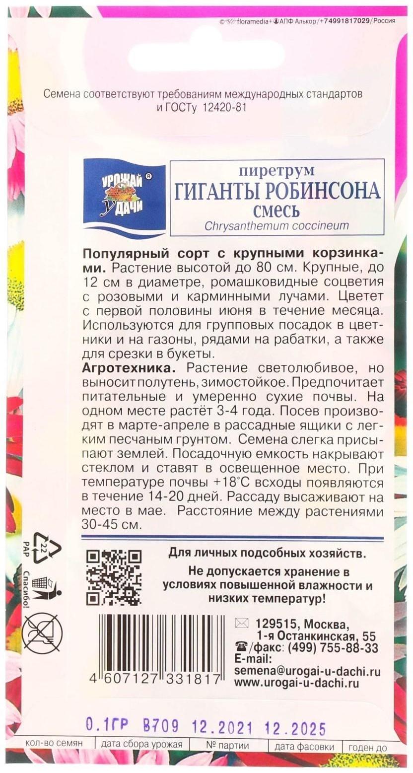 Семена цветов Пиретрум 