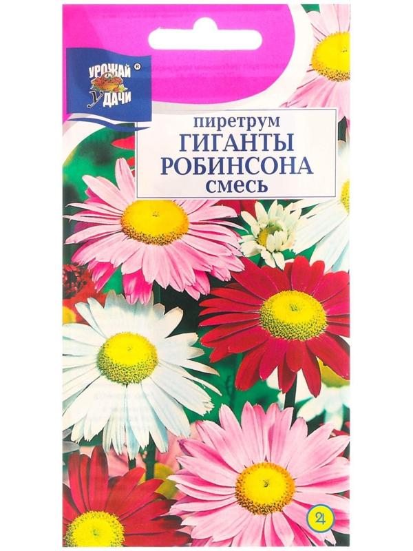 Семена цветов Пиретрум 