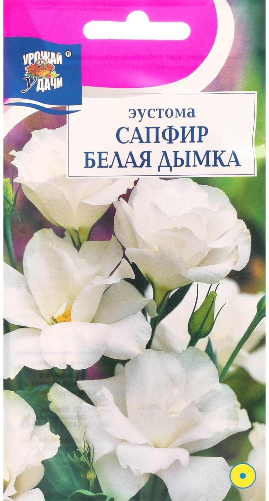 Семена цветов Эустома сапфир 