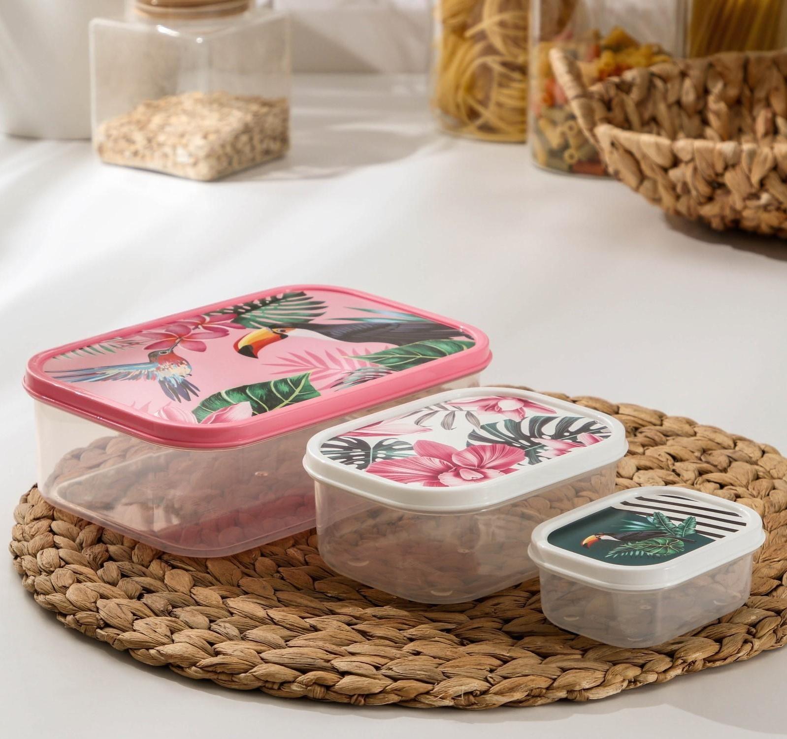 Набор контейнеров пищевых Доляна «Тропики», 3 шт: 150 мл, 500 мл, 1,2 л, прямоугольные