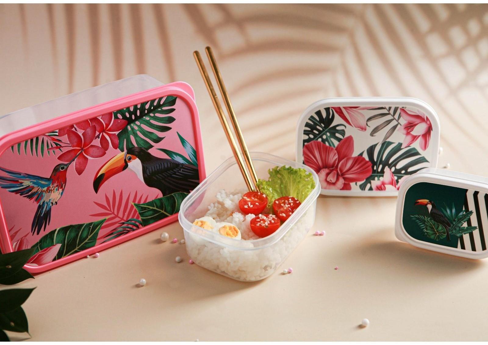 Набор контейнеров пищевых Доляна «Тропики», 3 шт: 150 мл, 500 мл, 1,2 л, прямоугольные