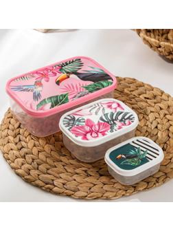 Набор контейнеров пищевых Доляна «Тропики», 3 шт: 150 мл, 500 мл, 1,2 л, прямоугольные